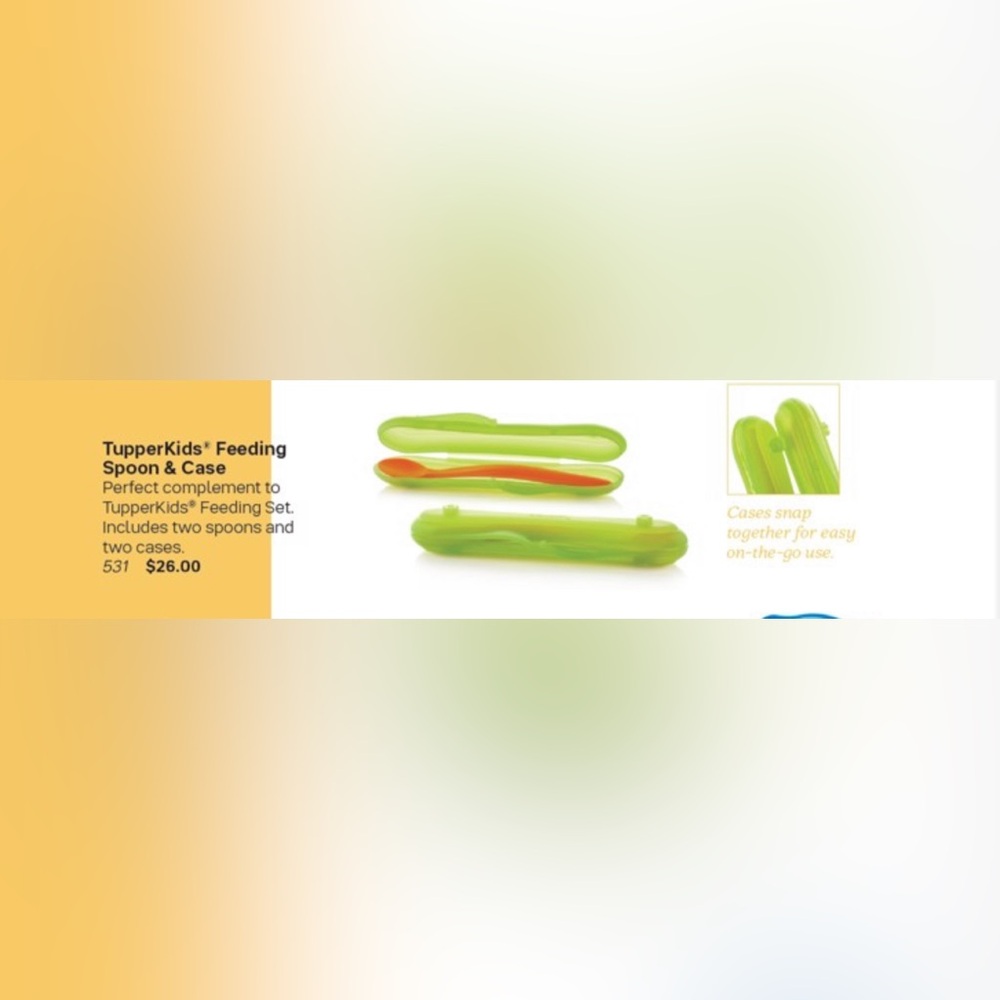 Tupperware TupperKids Feeding Spoon & Case 2pc Set